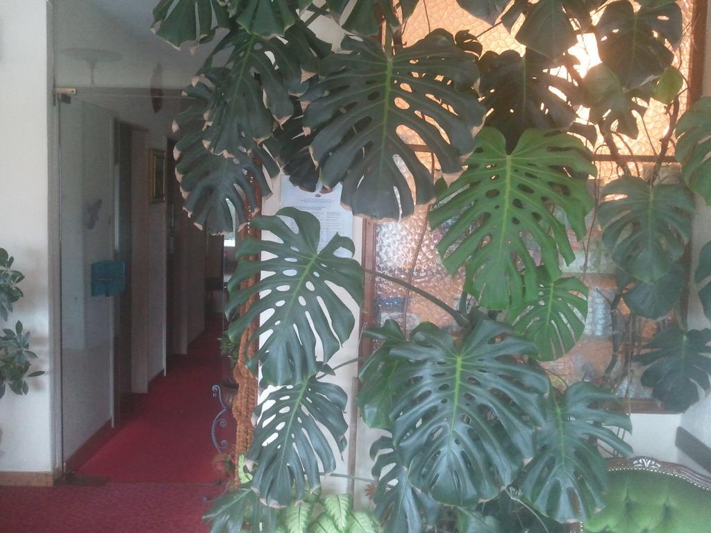 Lux Hotel Merano